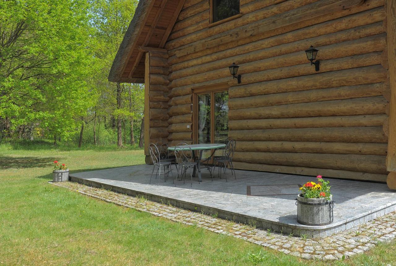 Villa Dom Pod Sosnami Gryżyna Exterior foto